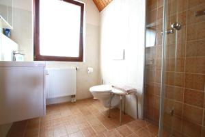 HagenburgにあるFerienwohnung Dienstのバスルーム(トイレ、ガラス張りのシャワー付)