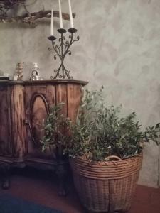 two potted plants sitting next to a wooden cabinet at Corte di Maggio B&B in Imola
