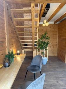 ein Zimmer mit einem Stuhl und einer Topfpflanze in der Unterkunft Tinutul Luanei Glamping Resort in Bozioru