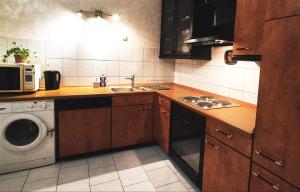 Il comprend une cuisine équipée d'un évier et d'un lave-linge. dans l'établissement Kämen 2 Zimmer, à Stuttgart