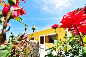 Gallery image of SOLEMAREPONZA Casa il Bacio del Sole in Ponza