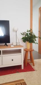 A television and/or entertainment centre at Apartamento C2 1Dormitorio
