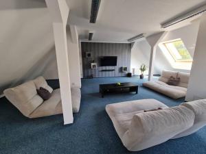 a living room with two couches and a tv at 6 bedroom Private APARTMENT & Lounge in Rostock