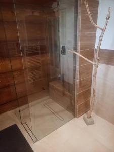 a shower with a glass door with a tree in it at srub U Holubů in Malšice