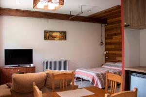 sala de estar con 2 sillas, sofá y TV en Apartamento tipo Loft, en Ribes de Freser
