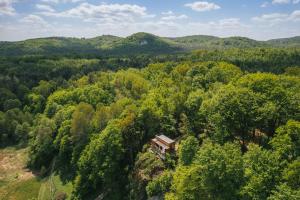 an aerial view of a house in the middle of a forest at In Heaven in Zdów