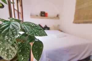 Voodi või voodid majutusasutuse Noqta Space Coworking Coliving Space toas