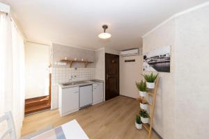 Kuchyňa alebo kuchynka v ubytovaní Apartment Varošino