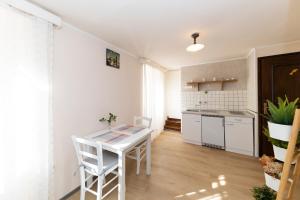 Kuchyňa alebo kuchynka v ubytovaní Apartment Varošino + 12 fotografií