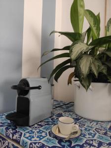 Zdjęcie z galerii obiektu Hotel Imperia w mieście Marciana Marina
