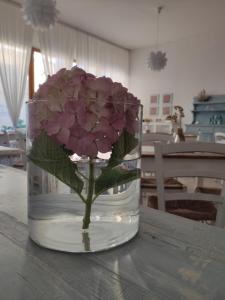 Zdjęcie z galerii obiektu Hotel Imperia w mieście Marciana Marina