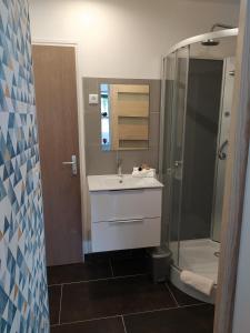 a bathroom with a sink and a shower at AUBERGE LE GABACHOU in Montpezat-de-Quercy