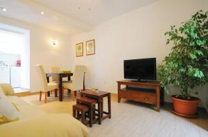 - un salon avec une télévision et une table avec une plante dans l'établissement Guesthouse Adriana Cottages, à Labin