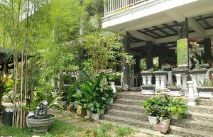 New The Heritage Resort & Restaurant Bukit Lawang في Bandartelu: حديقة بها مجموعة من النباتات والسلالم