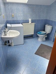 a blue tiled bathroom with a toilet and a sink at Apartmány U Vodního hradu in Česká Lípa +65 photos