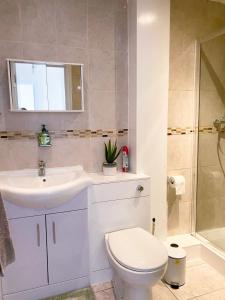 uma casa de banho com um WC, um lavatório e um chuveiro em Lovely 3 bed apartment in the City of London em Londres