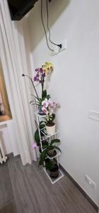 Televízia a/alebo spoločenská miestnosť v ubytovaní Orchidea
