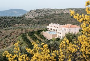a house in the middle of a field with yellow flowers at Perivoli Country Hotel & Retreat in Nafplio