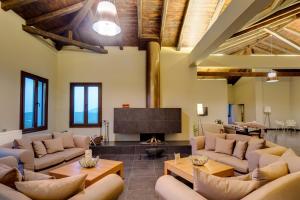 salon z kanapami i kominkiem w obiekcie Perivoli Country Hotel & Retreat w Nauplionie