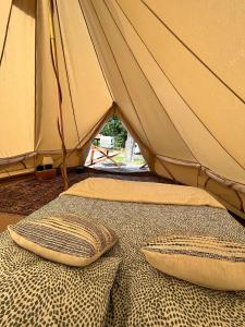 Aparra Surfcamp Auberge Hendaye客房内的一张或多张床位
