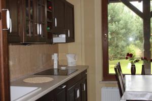 Zdjęcie z galerii obiektu Apartament WITA w mieście Niemcz