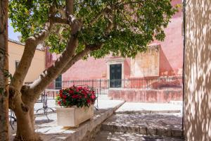a tree in front of a pink building with flowers at Fontana Di Corfu 4 in Corfu Town +12 photos