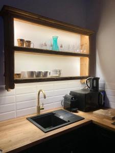 a kitchen counter with a sink and a microwave at Chata pod Rogową Apartamenty in Javorina
