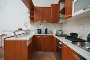 Kuchyň nebo kuchyňský kout v ubytování Apartman Rusula Vodice