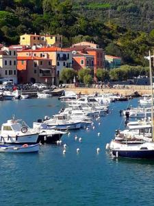 a bunch of boats in a harbor with birds in the water at Appartamentino Bianco in Rio Marina