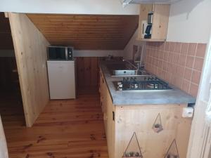a small kitchen with a stove and a refrigerator at STUDIO L'ISERAN, et GARAGE pour motos et vélos, gare à 800m in Fourneaux