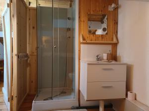 a bathroom with a shower and a sink at STUDIO L'ISERAN, et GARAGE pour motos et vélos, gare à 800m in Fourneaux +9 photos