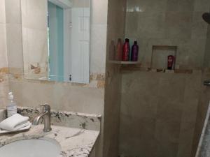 Gallery image of Tampa Bay beautiful apartment and private jacuzzi in Tampa