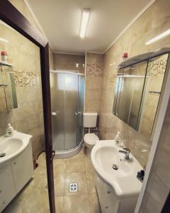 a bathroom with a sink and a toilet and a shower at La Samba in Crisan