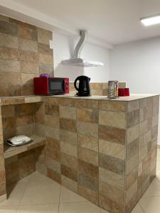 a kitchen with a counter with a microwave at Vila Vlad in 2 Mai
