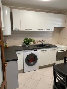 a kitchen with a washing machine and a dishwasher at La Samba in Crisan +29 photos