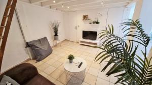 Televízia a/alebo spoločenská miestnosť v ubytovaní GregBnb - T2 CLIMATISÉ Mezzanine - Atypique - Centre Ancien - 5e etage sans ascenseur