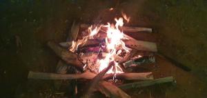 Gallery image of Oonjal Veedu-Renovated Recently in Kuttālam