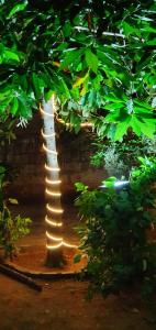 Gallery image of Oonjal Veedu-Renovated Recently in Kuttālam