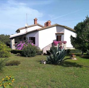a white house with flowers in the yard at Lux D'Or Apartment in Pula
