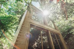 Vonkajšia záhrada v ubytovaní Treebox Noszvaj