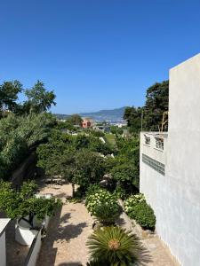 vista sul giardino da un edificio di Palazzo Porta a Procida