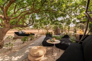Jardí fora de Los Pistachios