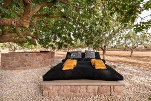 Jardí fora de Los Pistachios