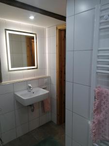 a bathroom with a sink and a mirror at Ferienhaus in Rumke in Bippen