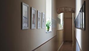 a hallway with pictures on the wall and a plant in a window at Liccu Bed and Breakfast in Catania