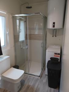 uma pequena casa de banho com chuveiro e WC em CHARTA Mobile Home Meon em Drage