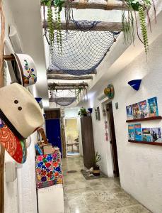 Mynd úr myndasafni af Itzé Hostel í Isla Mujeres