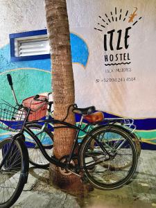 uma bicicleta estacionada ao lado de uma árvore ao lado de um edifício em Itzé Hostel em Isla Mujeres