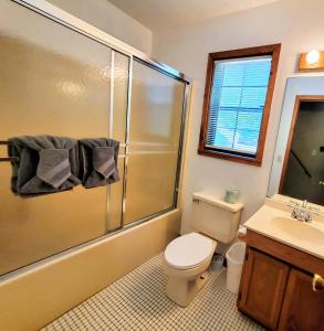 ein Bad mit einer Dusche, einem WC und einem Waschbecken in der Unterkunft Mountain Ridge in Pigeon Forge