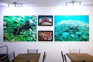 Billede fra billedgalleriet på Acapulco Amor i Acapulco + 58 billeder